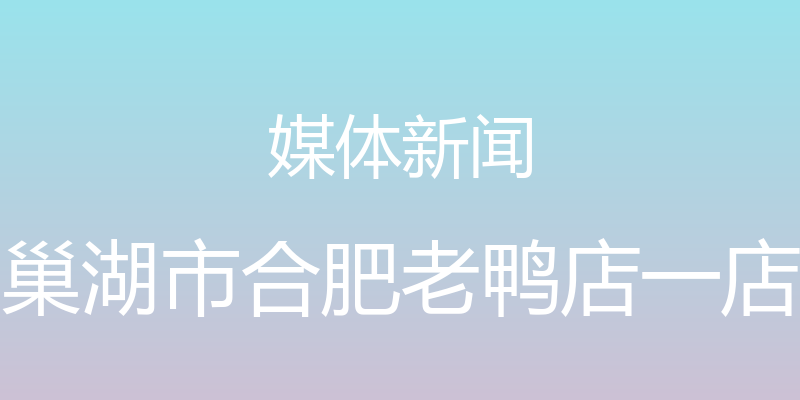 媒体新闻 - 巢湖市合肥老鸭店一店